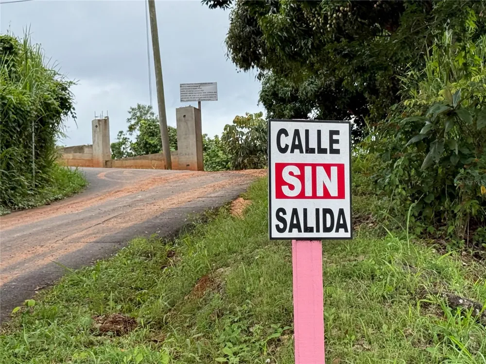 SR-108 KM 11.3 CAMINO ALDEBOL SECTOR PABLO DIAZ BARRIO LEGUIZAMO Mayaguez, PR 00680