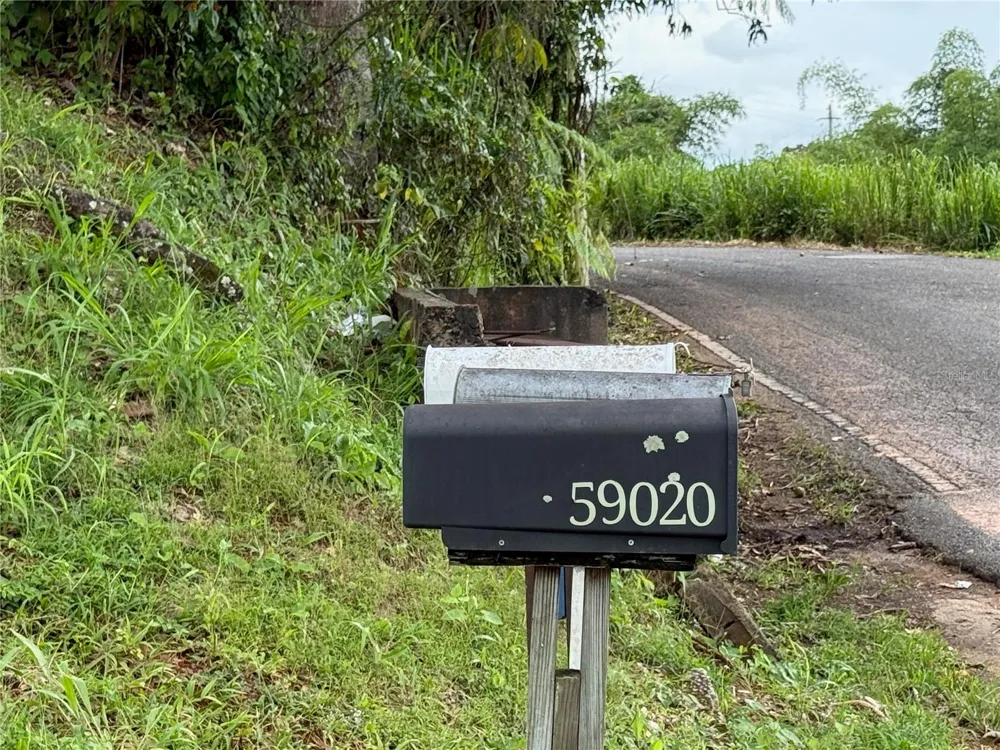 SR-108 KM 11.3 CAMINO ALDEBOL SECTOR PABLO DIAZ BARRIO LEGUIZAMO Mayaguez, PR 00680