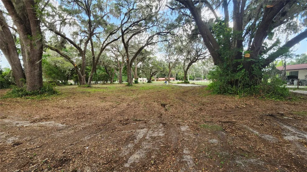 7059 SE COUNTY HIGHWAY 25A Belleview, FL 34420