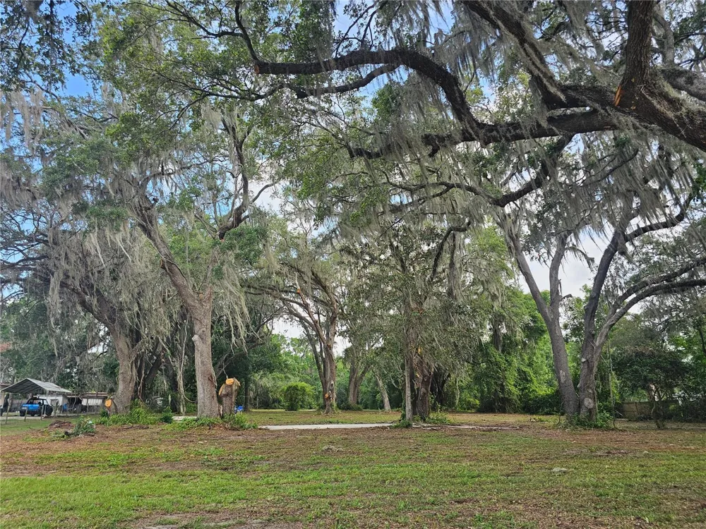 7059 SE COUNTY HIGHWAY 25A Belleview, FL 34420