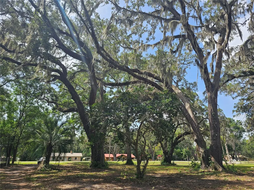 7059 SE COUNTY HIGHWAY 25A Belleview, FL 34420