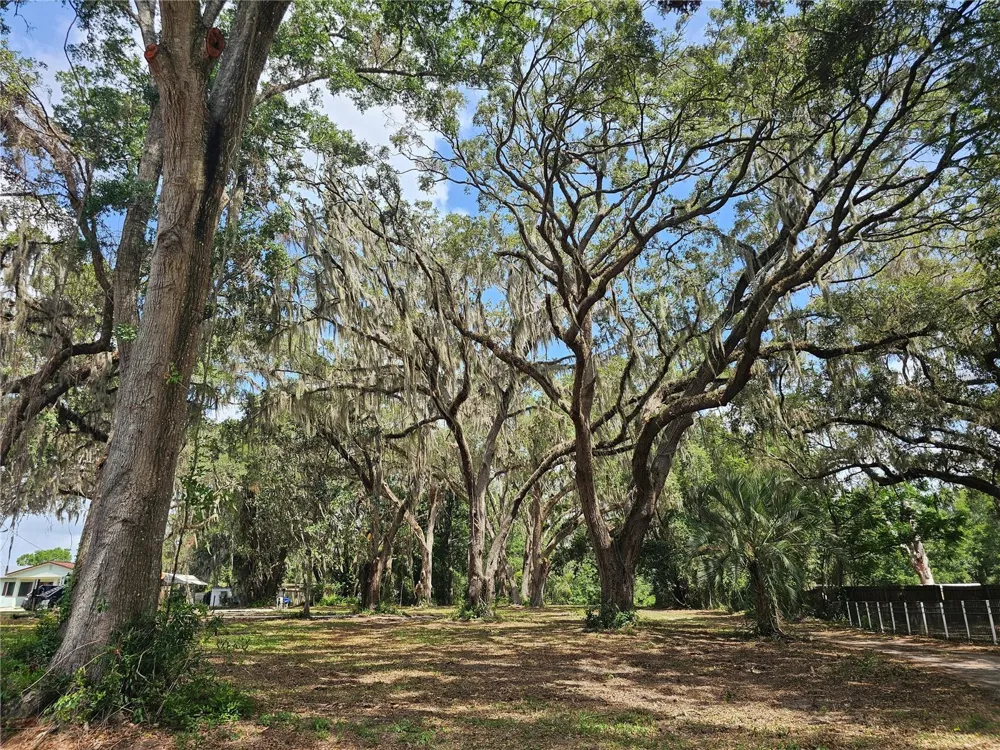 7059 SE COUNTY HIGHWAY 25A Belleview, FL 34420