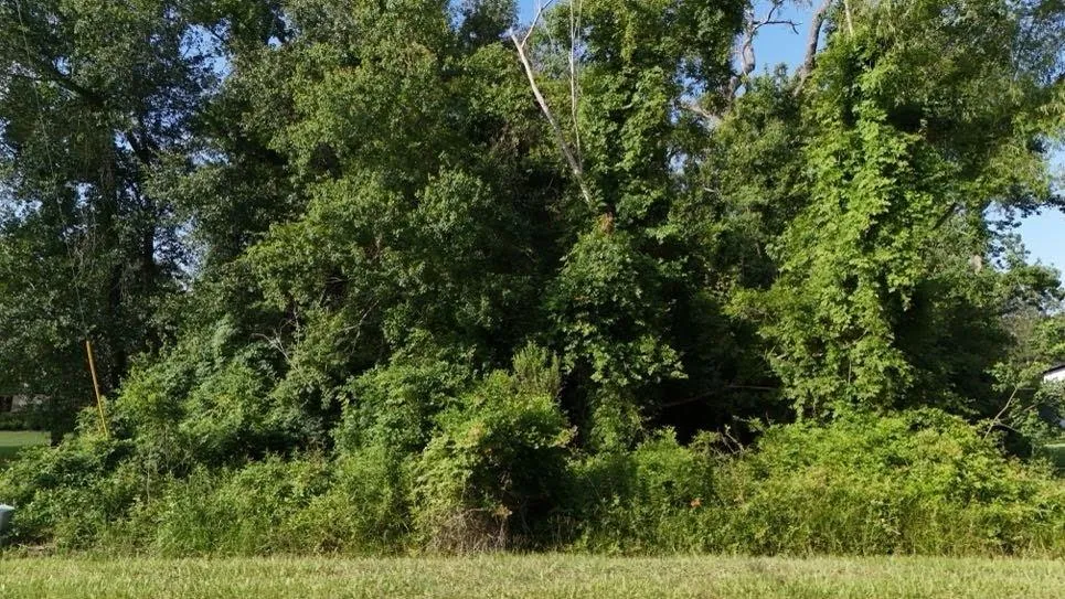 Riverview Crossing Huffman, TX 77336