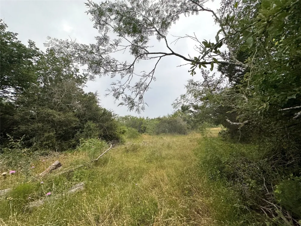2 Private Road 4601 Waelder, TX 78959