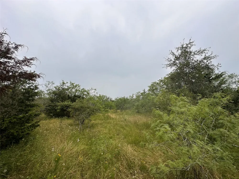 2 Private Road 4601 Waelder, TX 78959