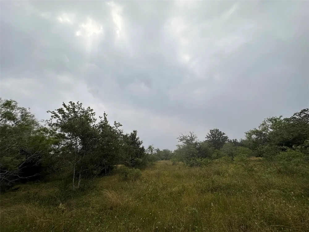 3 Private Road 4601 Waelder, TX 78959