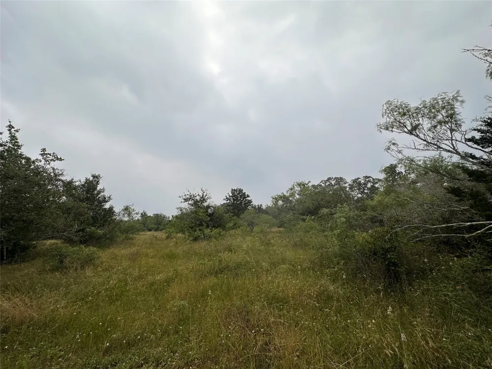 3 Private Road 4601 Waelder, TX 78959