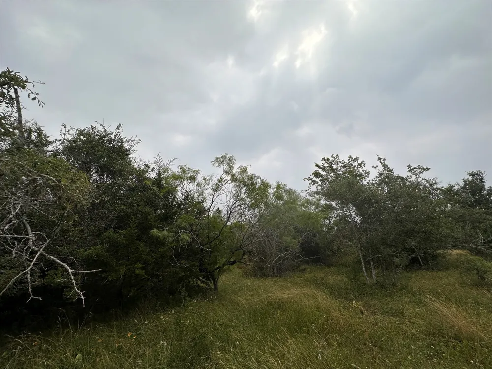 3 Private Road 4601 Waelder, TX 78959