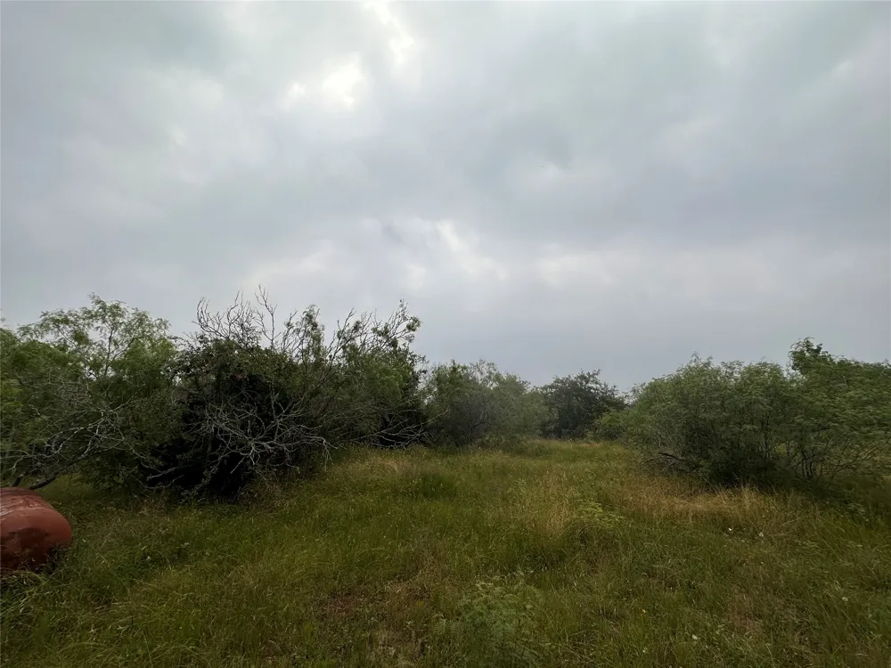 3 Private Road 4601 Waelder, TX 78959