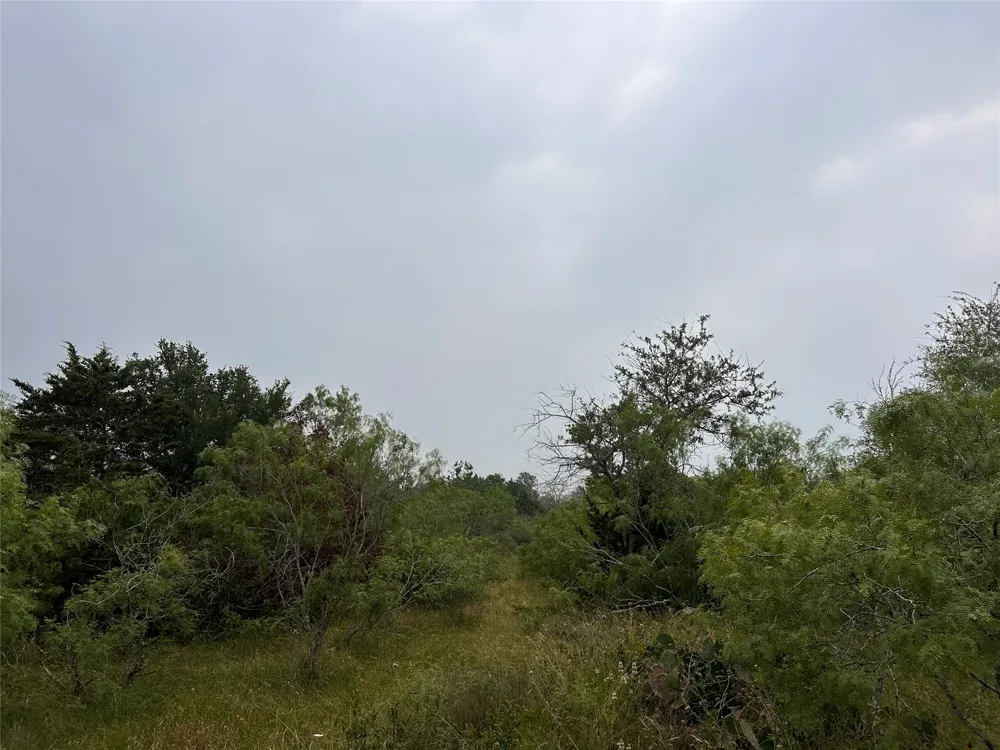 3 Private Road 4601 Waelder, TX 78959