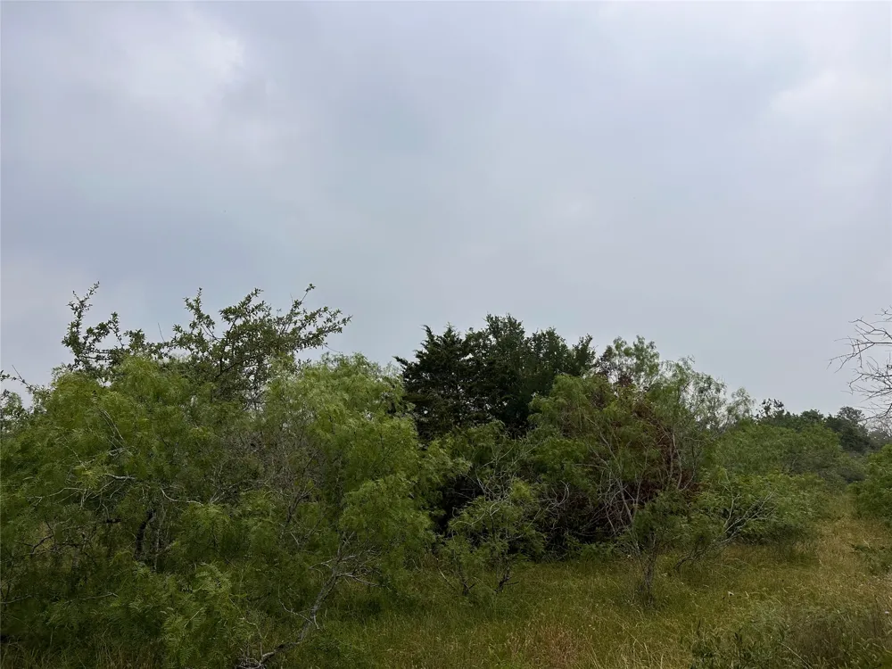 3 Private Road 4601 Waelder, TX 78959
