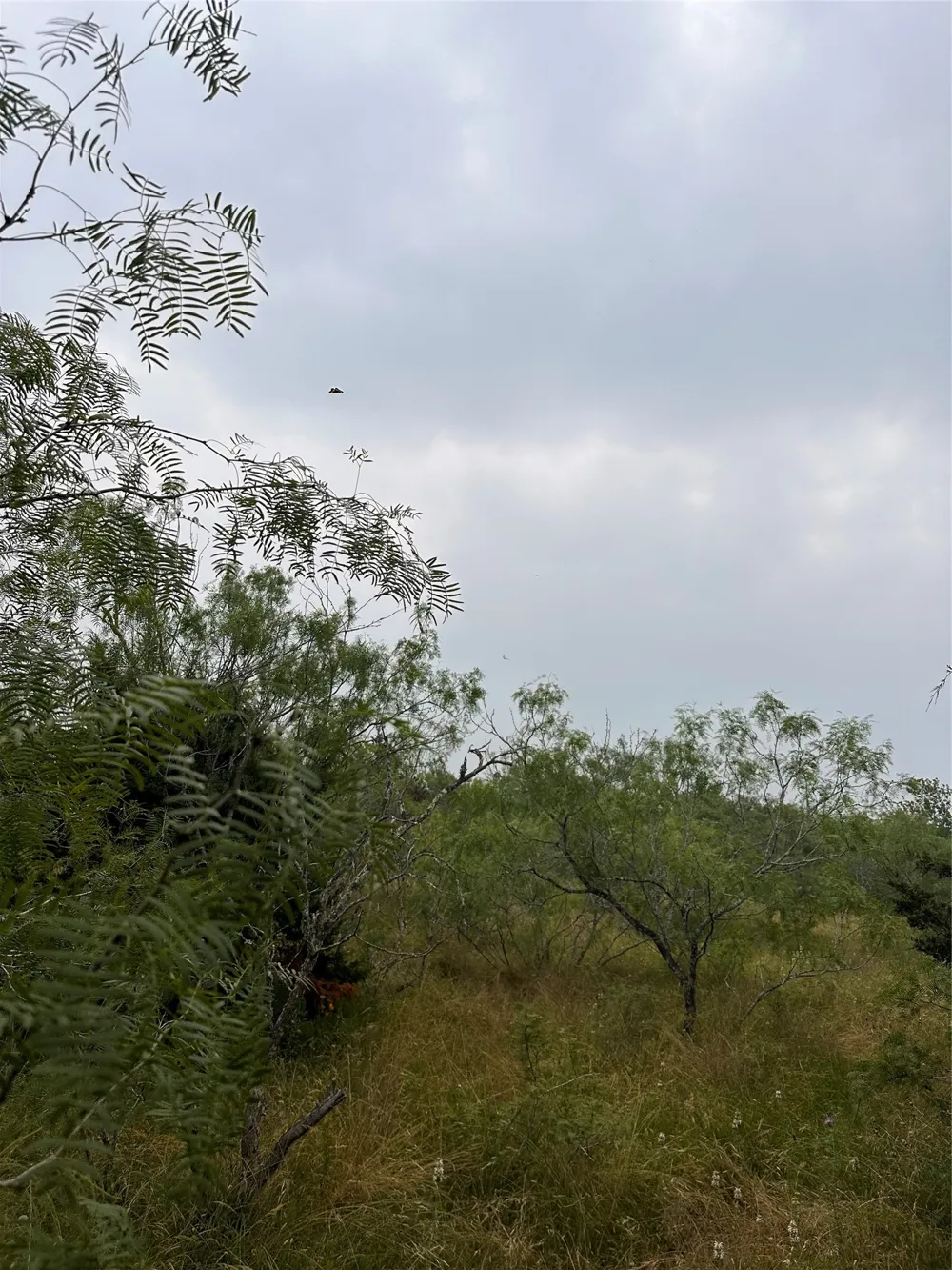 3 Private Road 4601 Waelder, TX 78959
