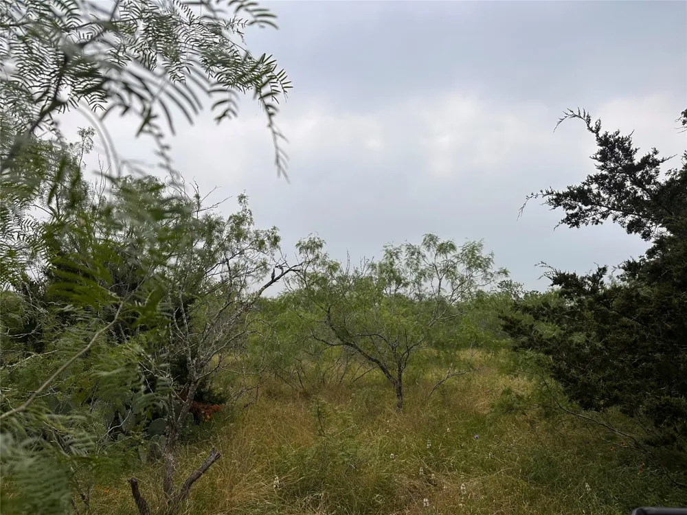 3 Private Road 4601 Waelder, TX 78959