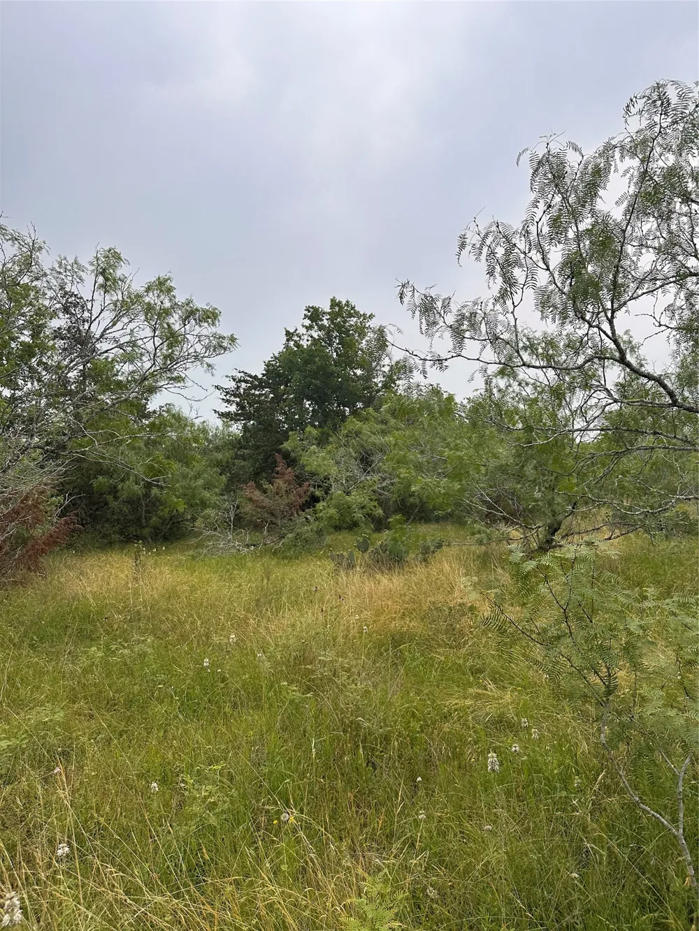 3 Private Road 4601 Waelder, TX 78959