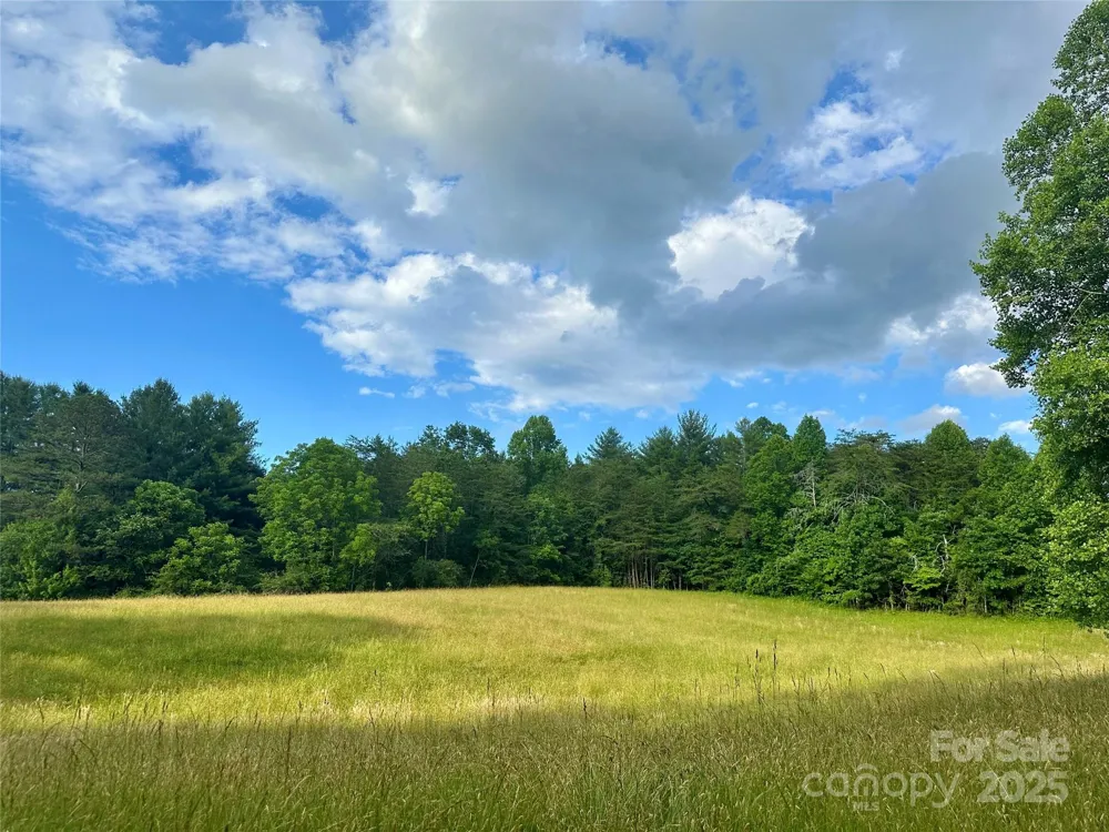 99999 Jenkins Valley Road Alexander, NC 28701