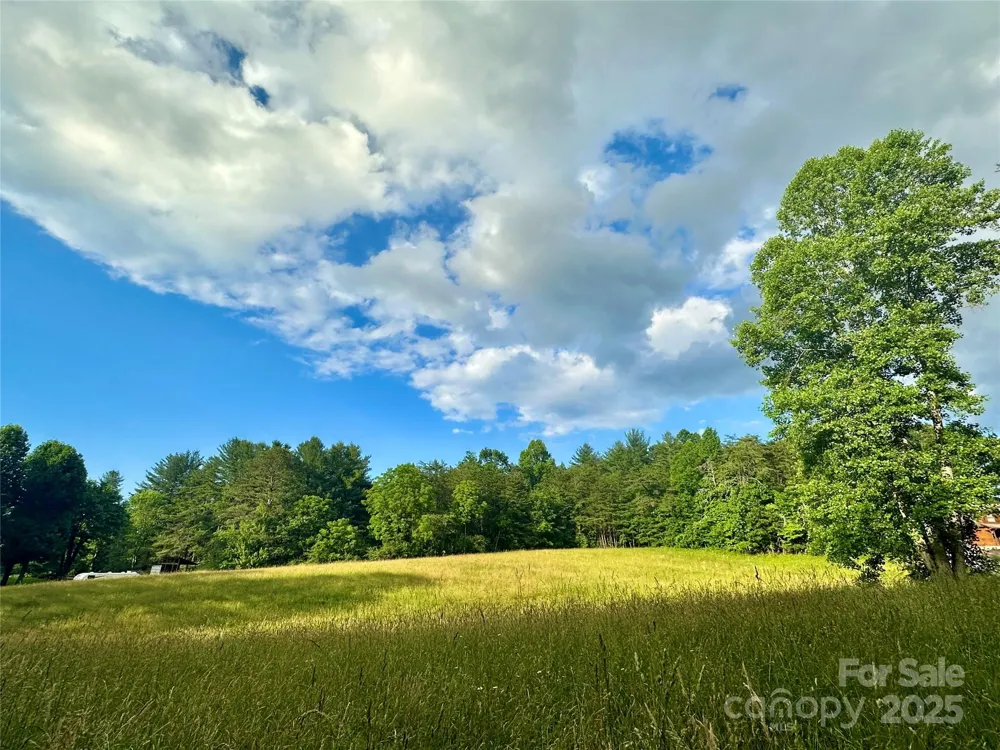 99999 Jenkins Valley Road Alexander, NC 28701