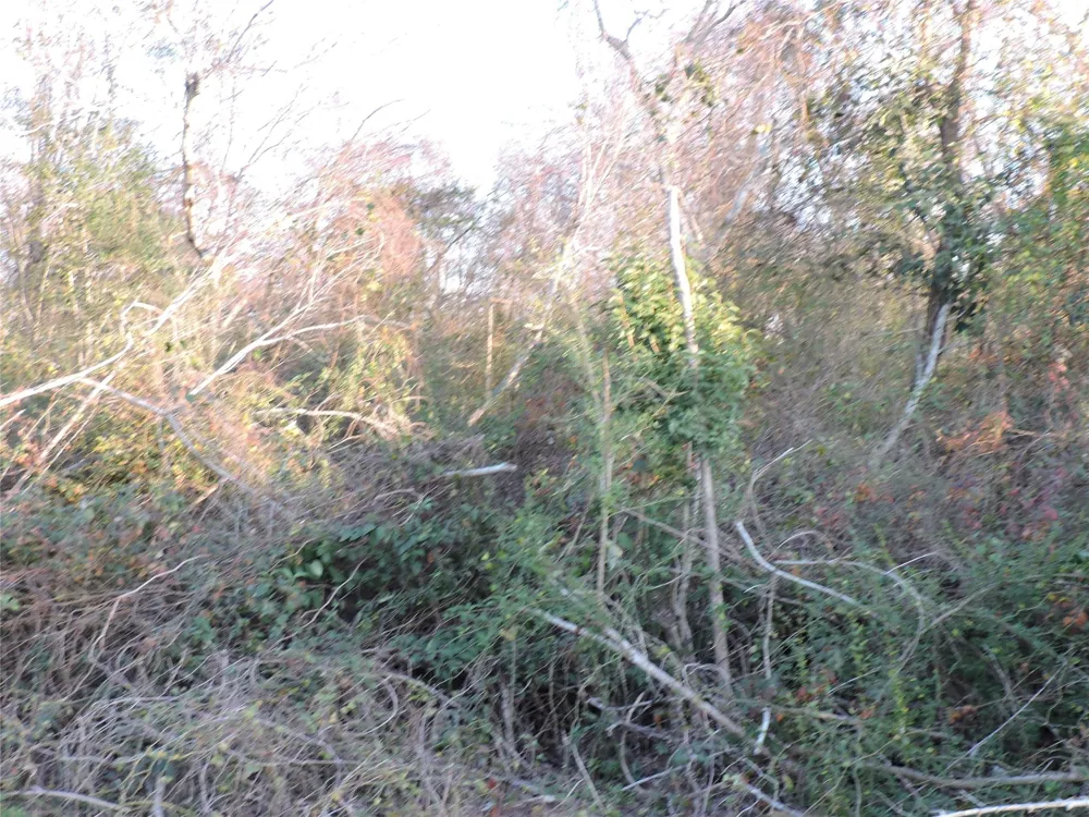 S Donaldson La Porte, TX 77571