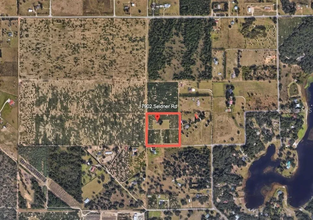 17902 SEIDNER ROAD Winter Garden, FL 34787