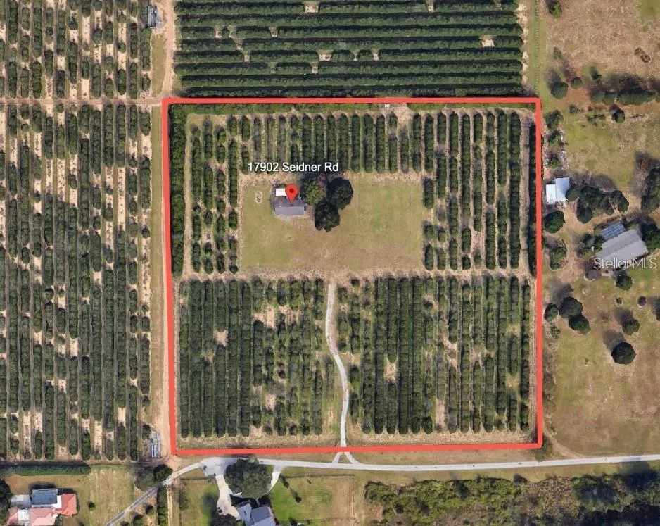 17902 SEIDNER ROAD Winter Garden, FL 34787