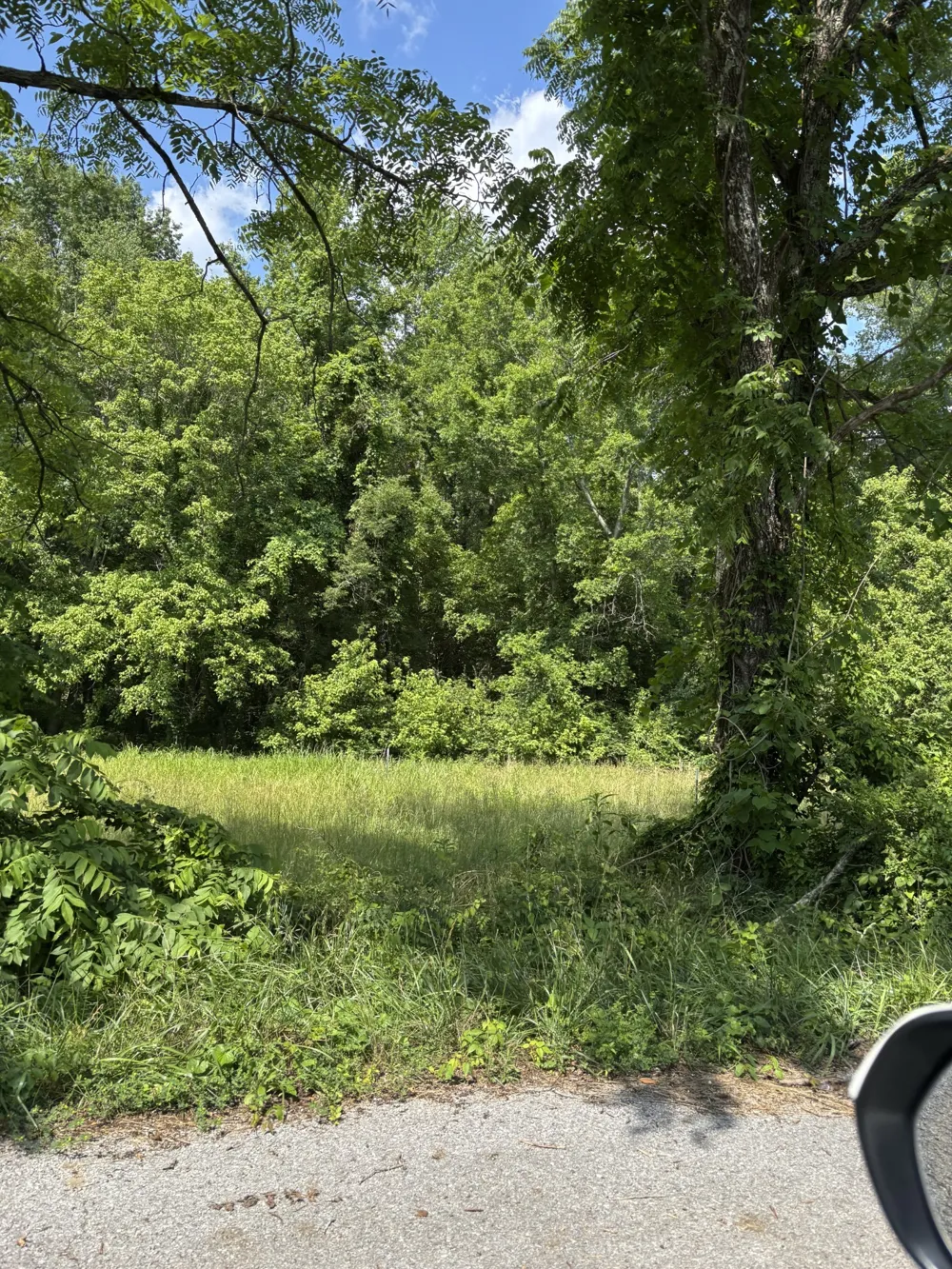 0 Chapel Road Tullahoma, TN 37388