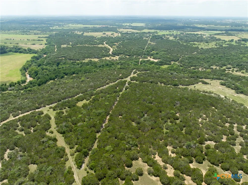 Tx-36 Gatesville, TX 76528