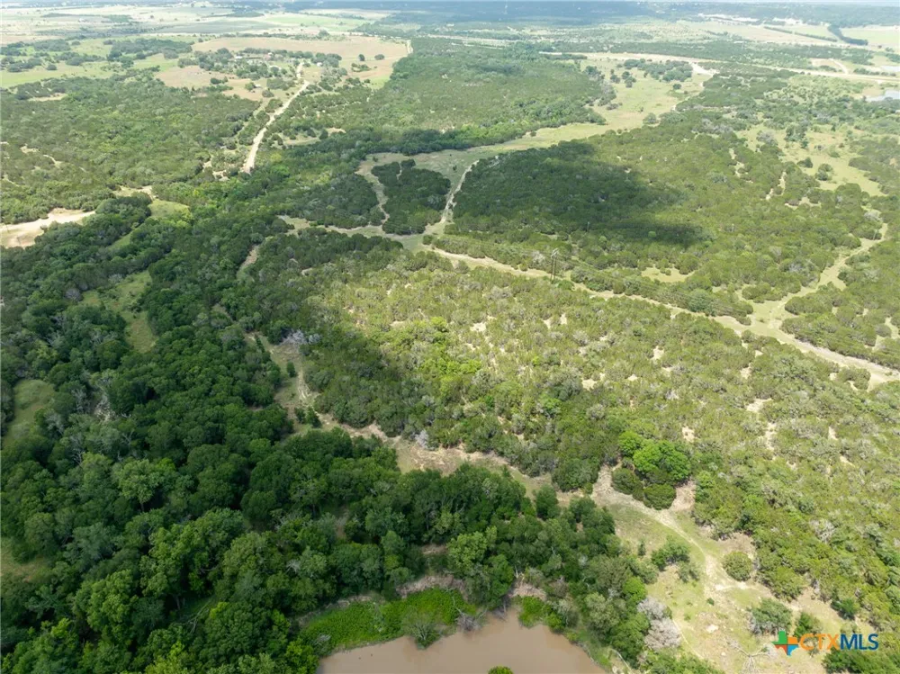 Tx-36 Gatesville, TX 76528