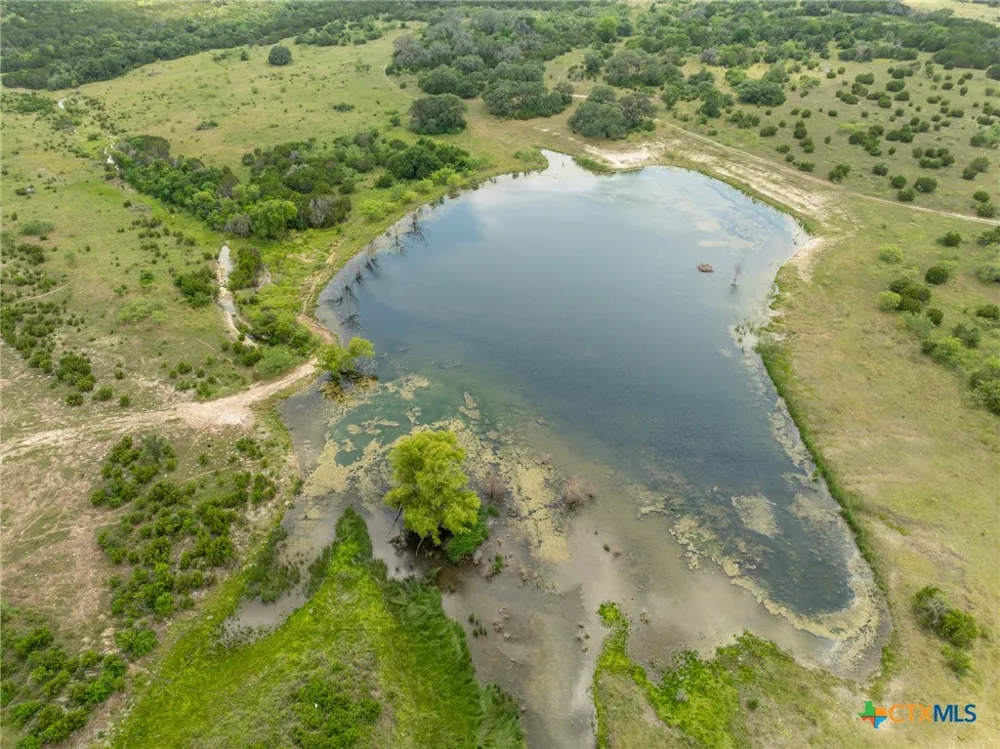 Tx-36 Gatesville, TX 76528