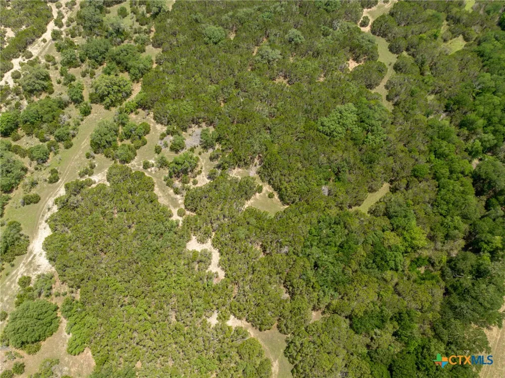 Tx-36 Gatesville, TX 76528