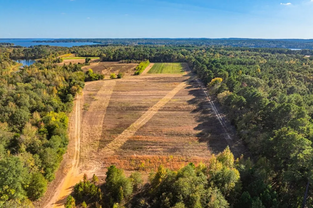 County Road 3411 Chandler, TX 75758