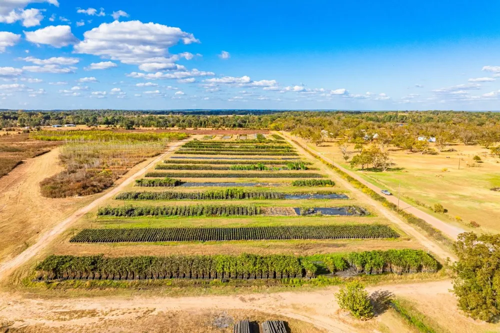 County Road 3411 Chandler, TX 75758