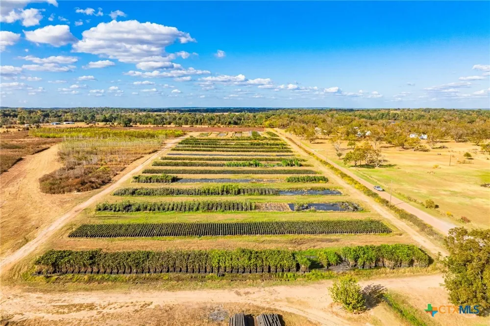 County Road 3411 Chandler, TX 75758
