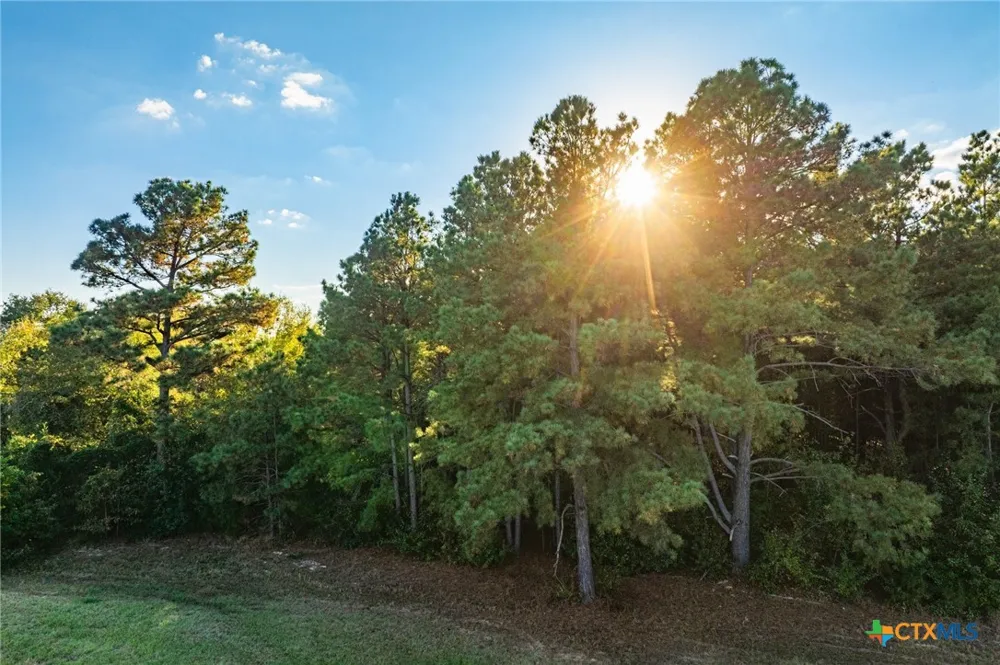 County Road 3411 Chandler, TX 75758