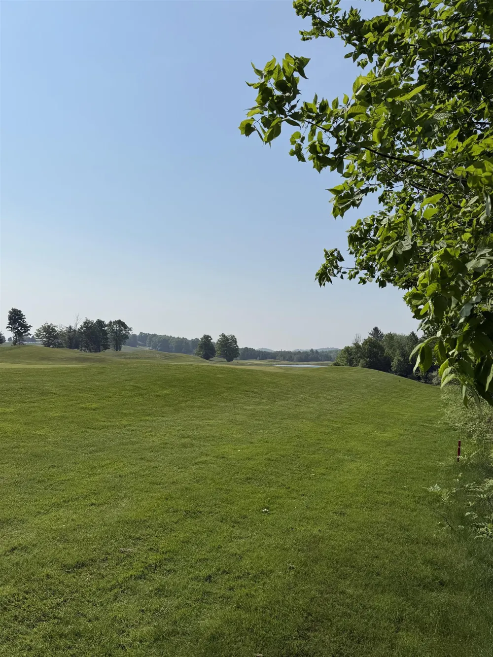 Mooney Way Torch Lake Township, MI 49648