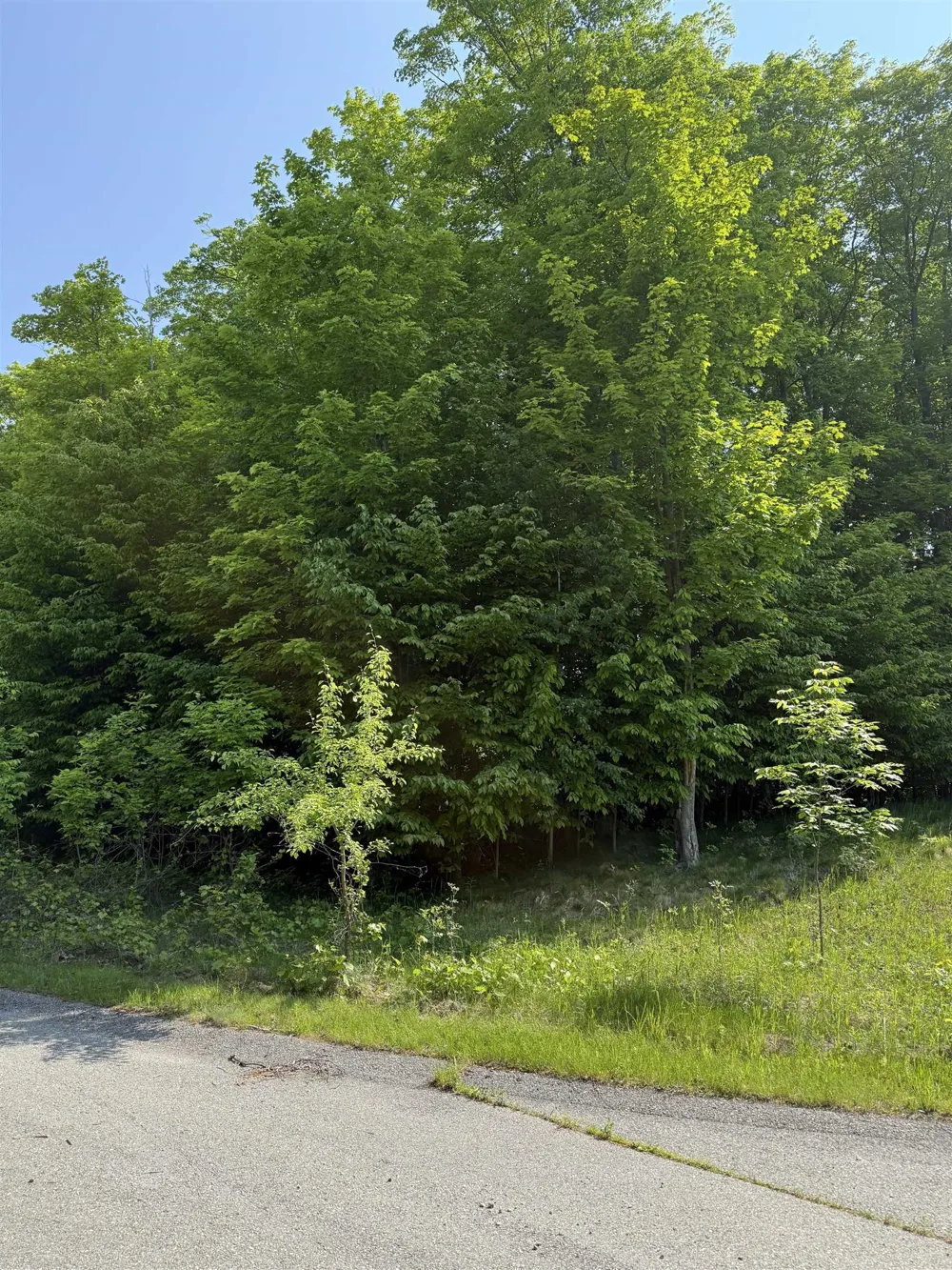 Mooney Way Torch Lake Township, MI 49648