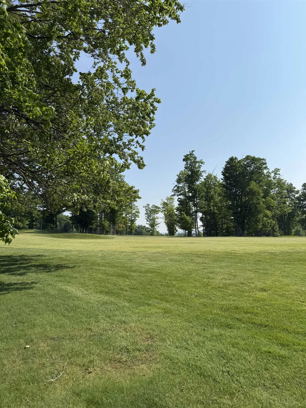 Mooney Way Torch Lake Township, MI 49648