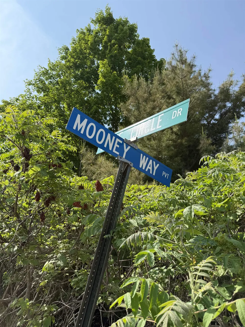 Mooney Way Torch Lake Township, MI 49648