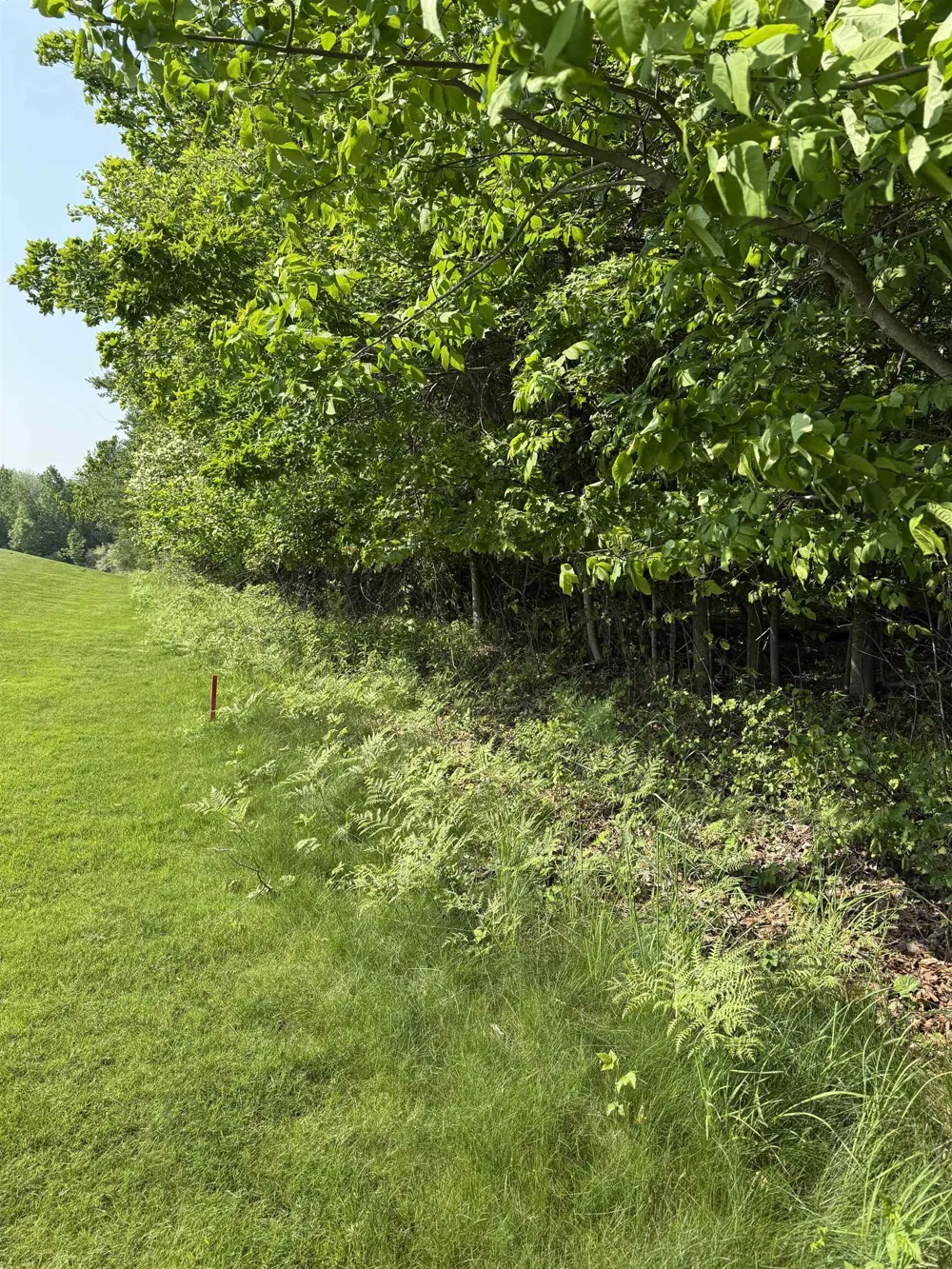 Mooney Way Torch Lake Township, MI 49648