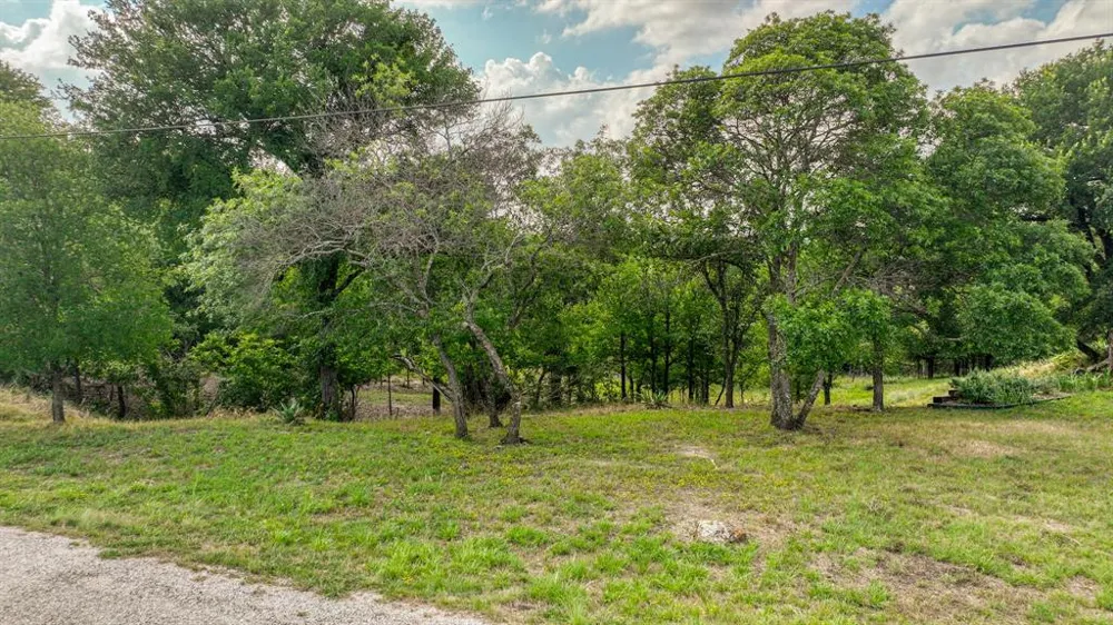 319 Fairway Drive Willow Park, TX 76087