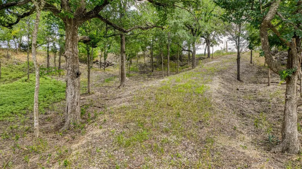 319 Fairway Drive Willow Park, TX 76087