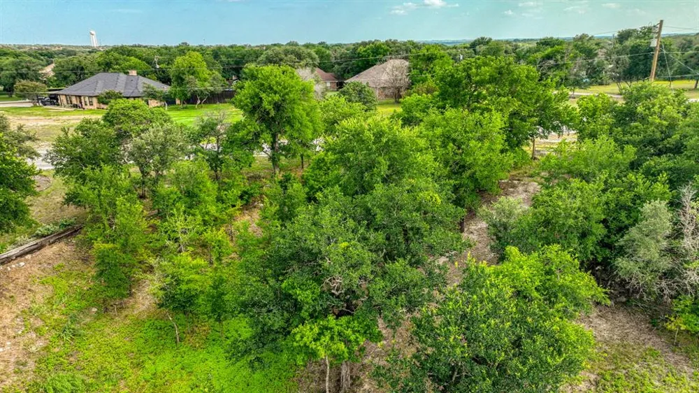 319 Fairway Drive Willow Park, TX 76087