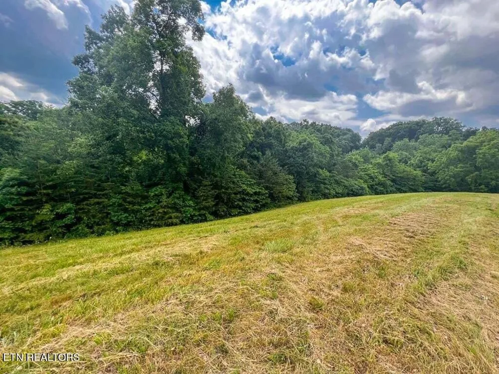 2004 Turners Landing Rd Russellville, TN 37860