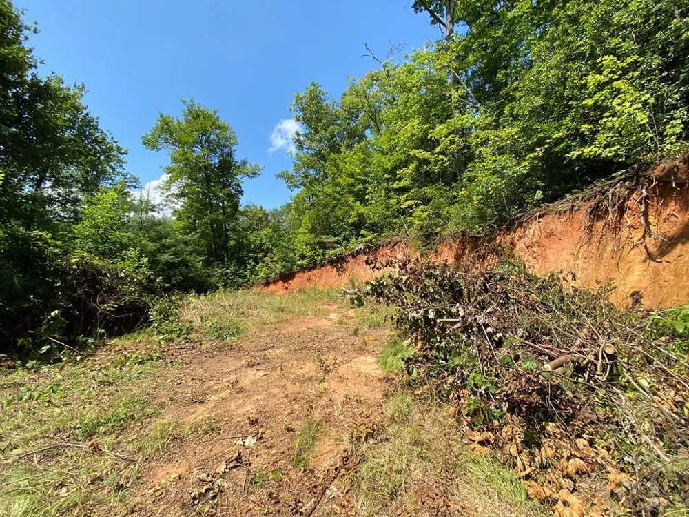 Red Dog Ln Whittier, NC 28719