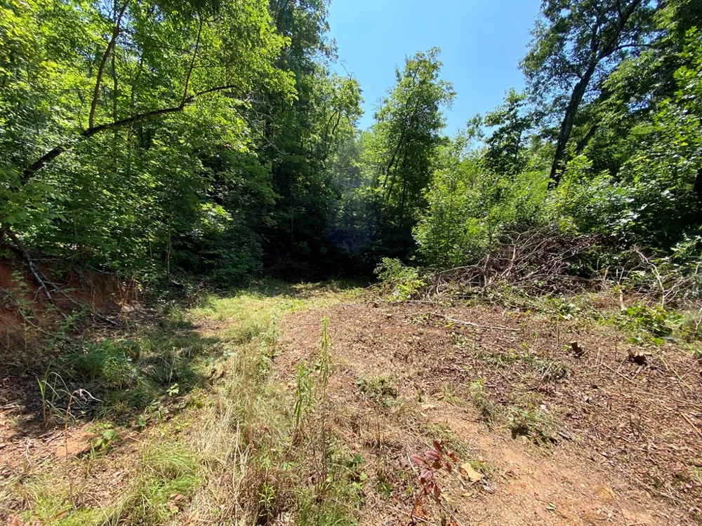 Red Dog Ln Whittier, NC 28719