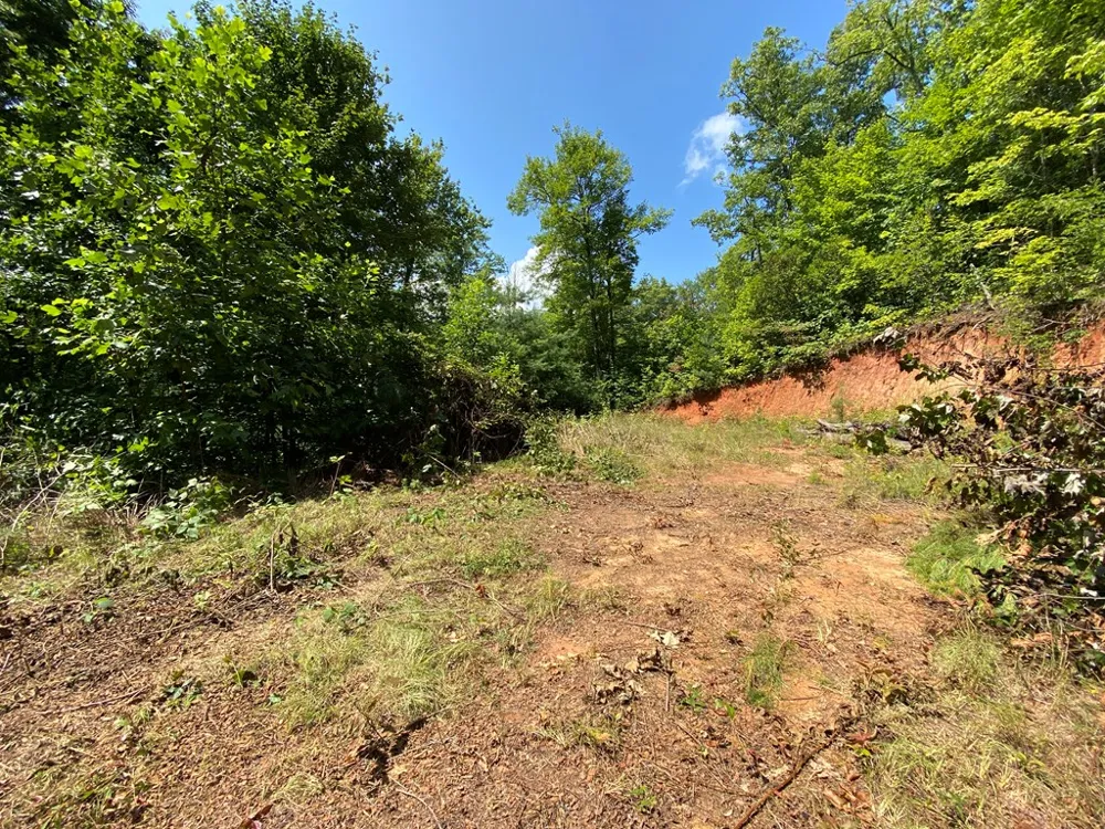 Red Dog Ln Whittier, NC 28719