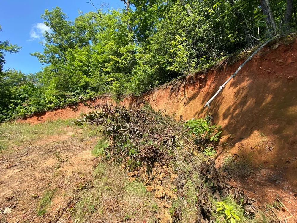 Red Dog Ln Whittier, NC 28719