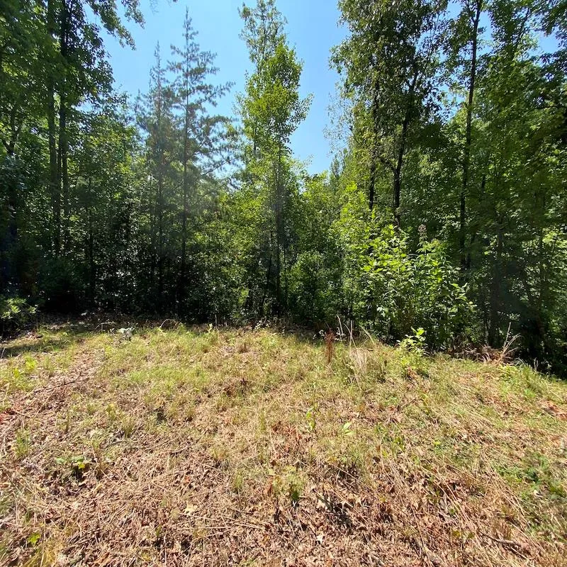 Red Dog Ln Whittier, NC 28719