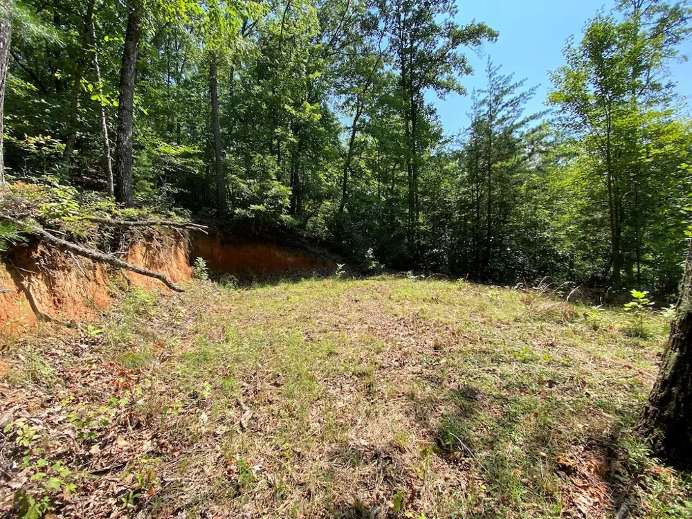 Red Dog Ln Whittier, NC 28719