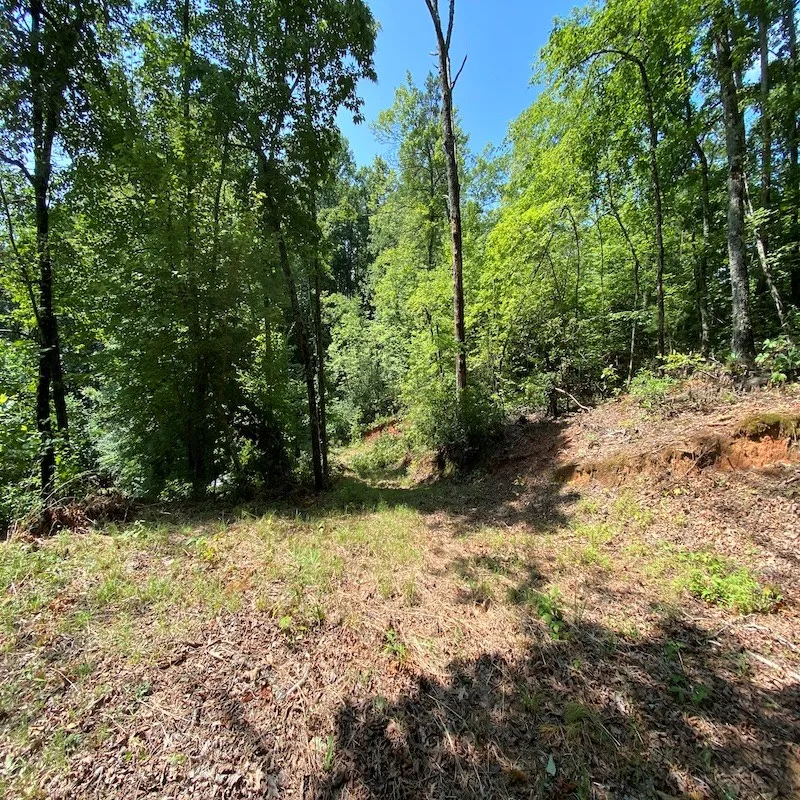 Red Dog Ln Whittier, NC 28719