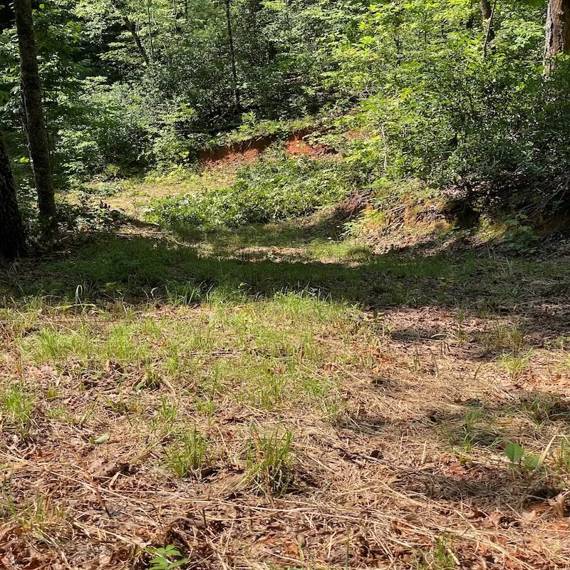 Red Dog Ln Whittier, NC 28719