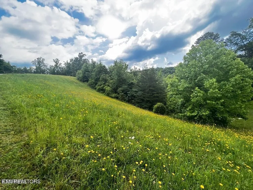 6219 Outlook Trl Russellville, TN 37860